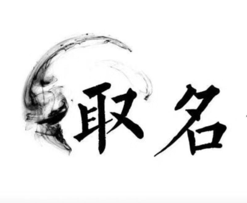  肇东宝宝取名 大师一对一人工起名